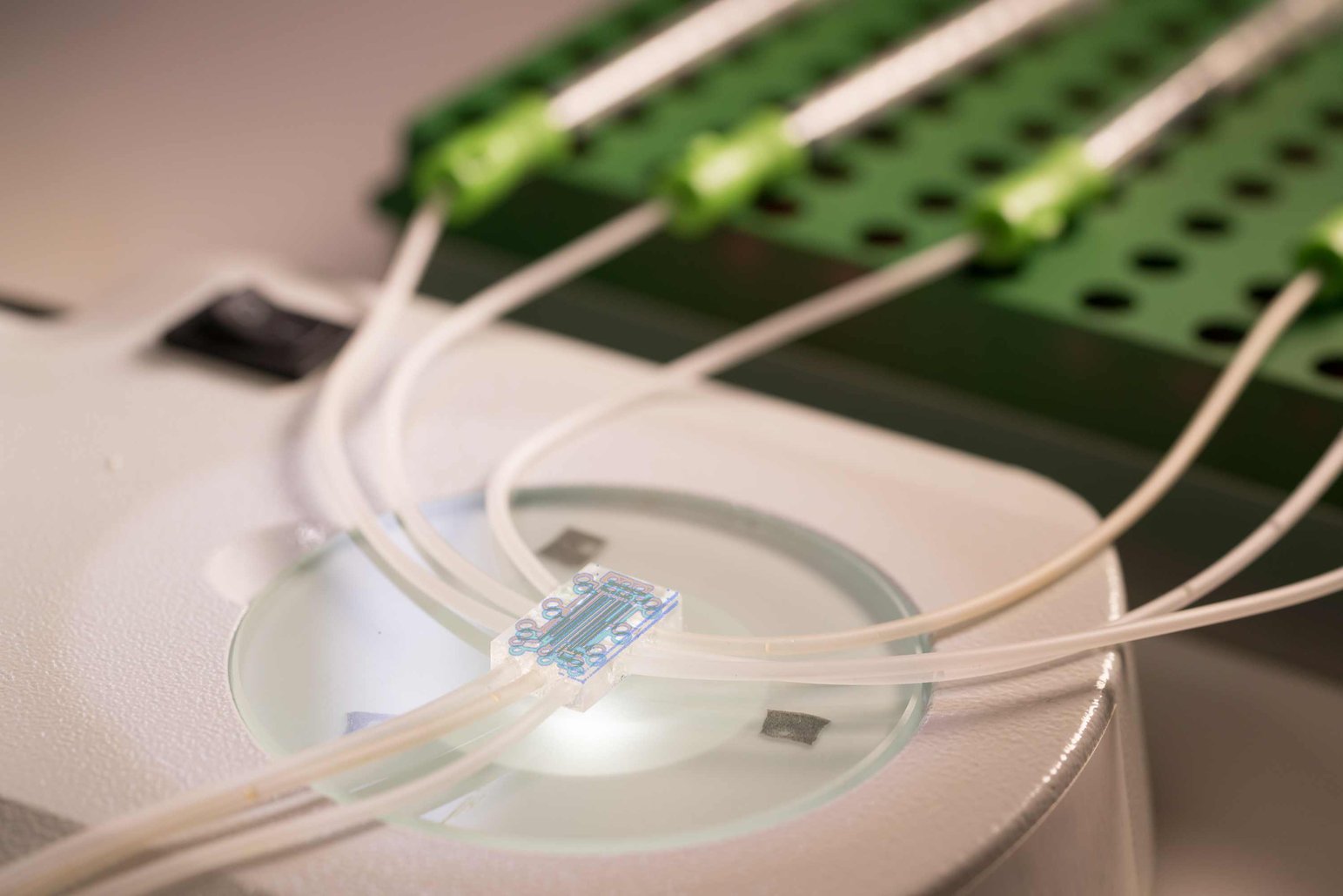 Microfluidics in Medicine — Diagnostics I Strouse